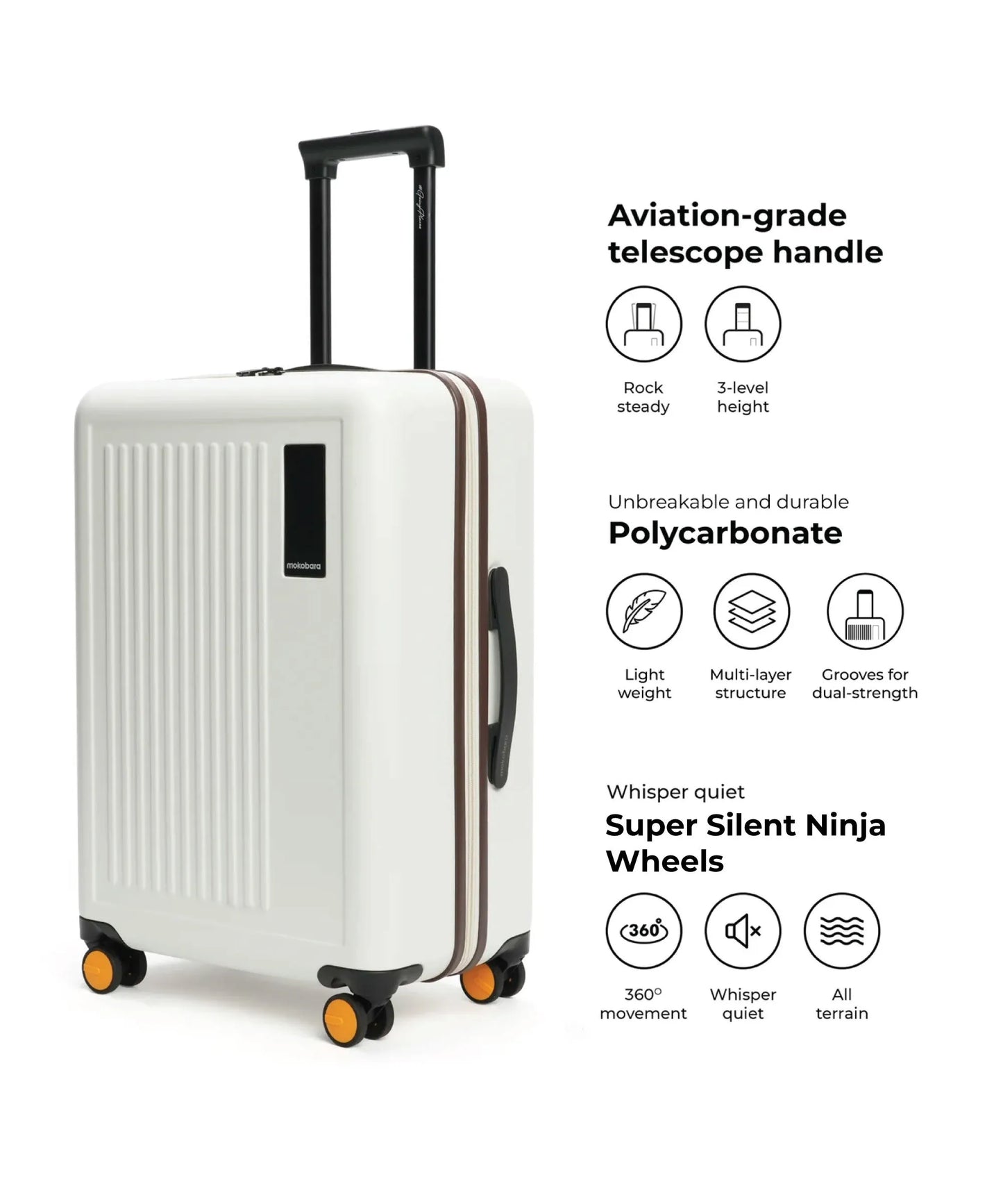 Color_ Still Loading Brownray (Limited Edition) | The Transit Luggage - Check-in