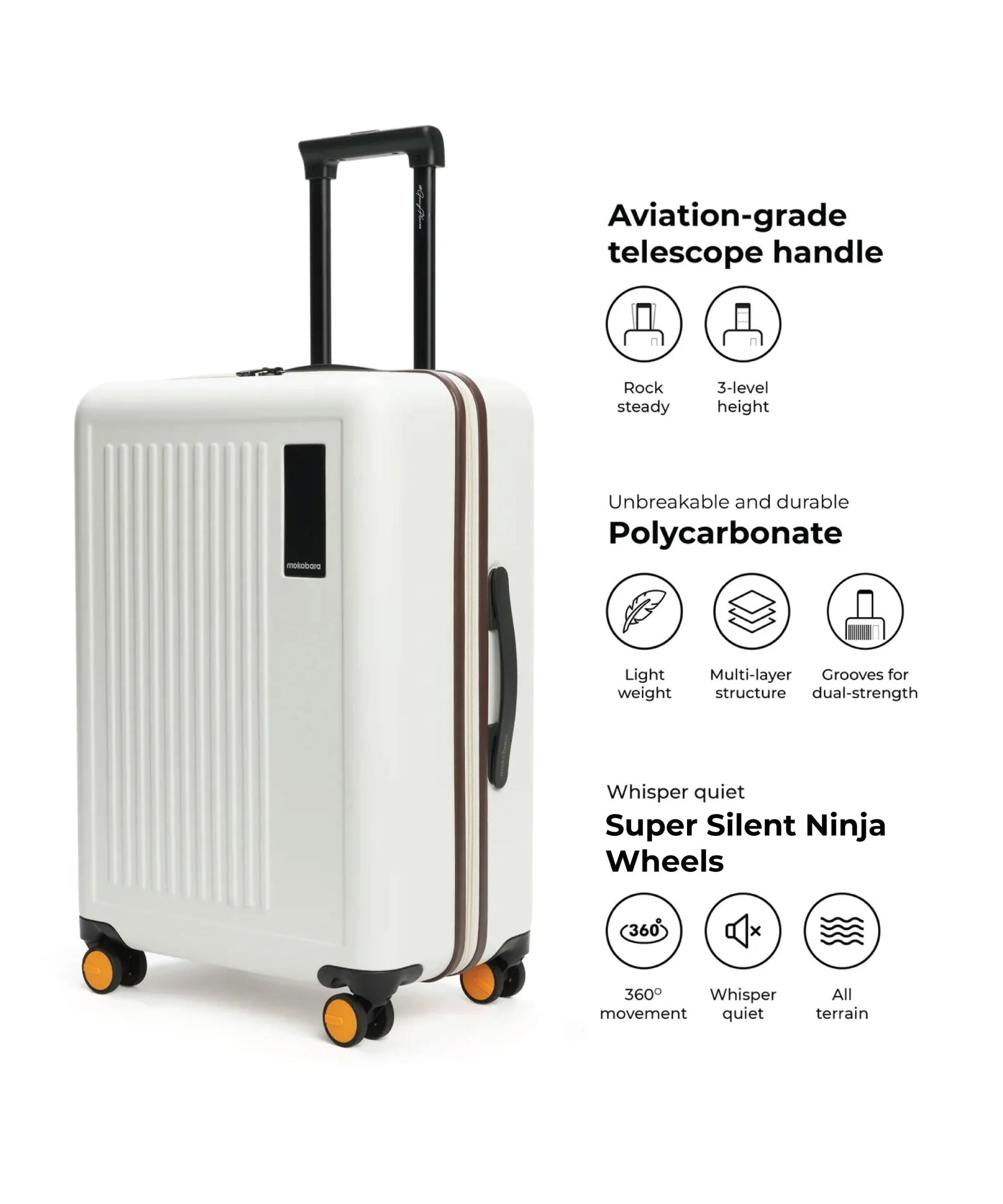 Color_ Still Loading Brownray (Limited Edition) | The Transit Luggage - Check-in