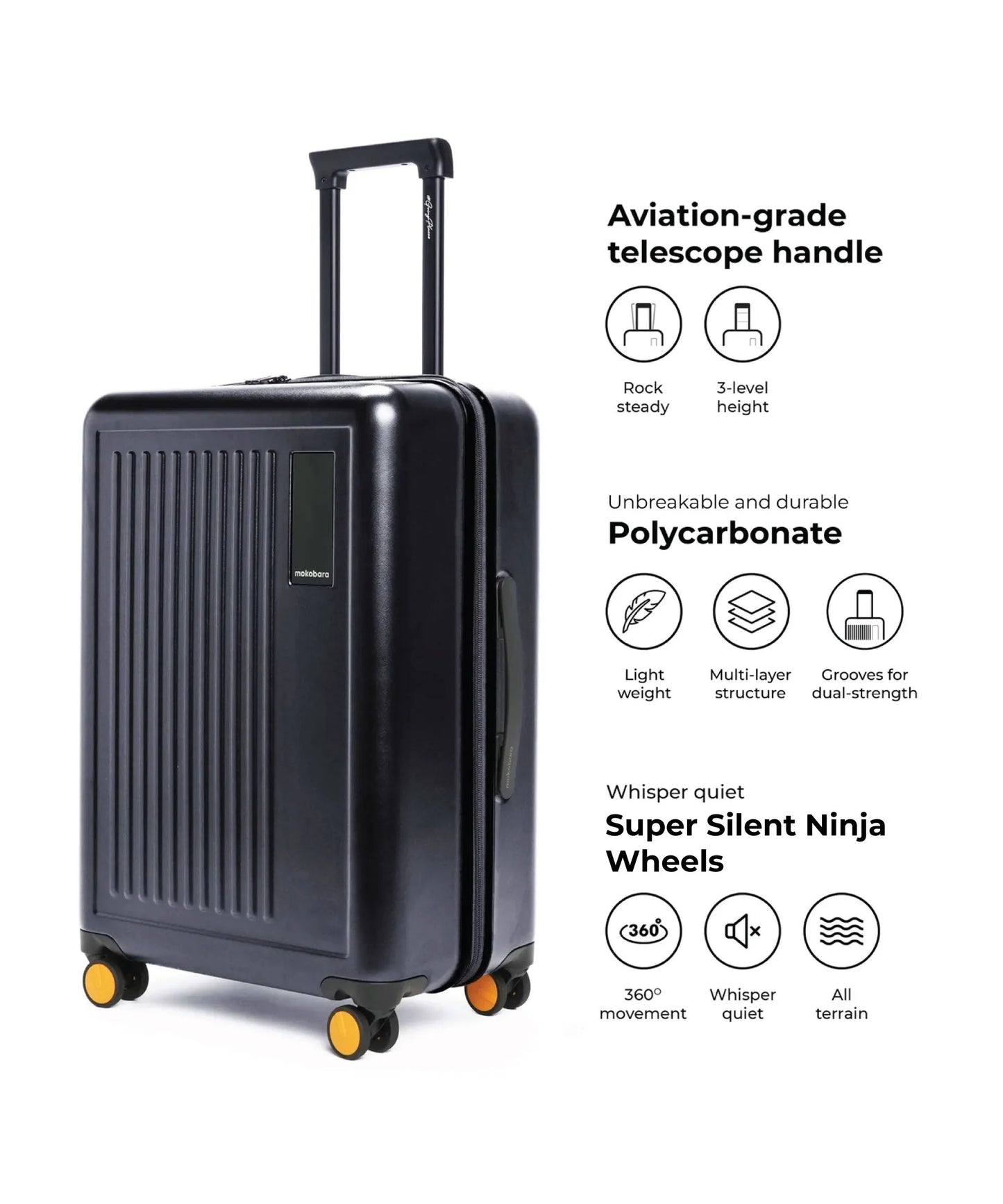 Color_Crypto | The Transit Luggage - Check-in