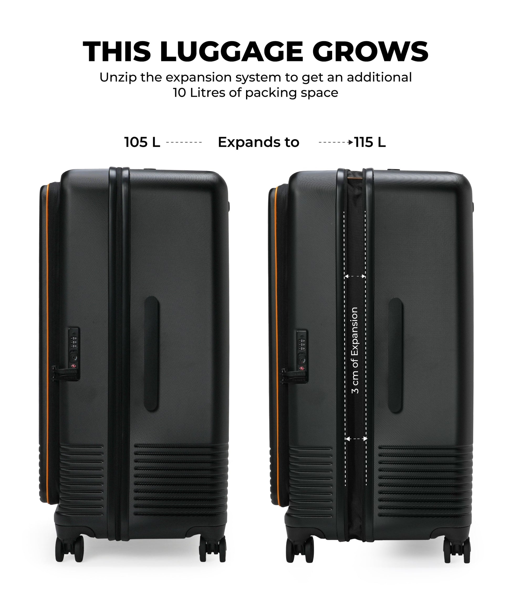 Color_Crypto Sunray | The Access Trunk Luggage