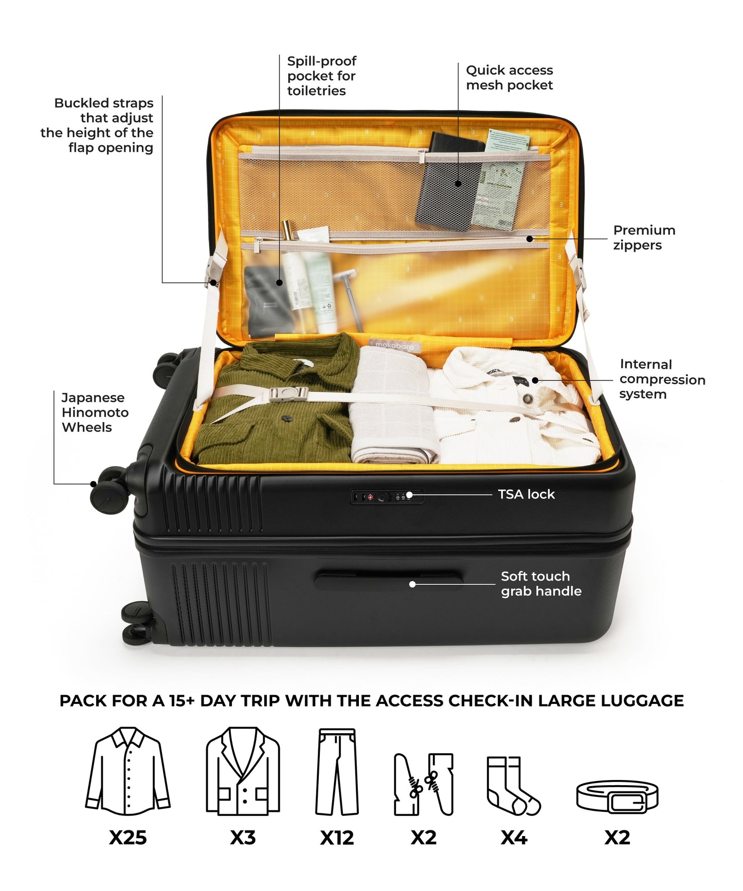 Color_Crypto Sunray | The Access Trunk Luggage