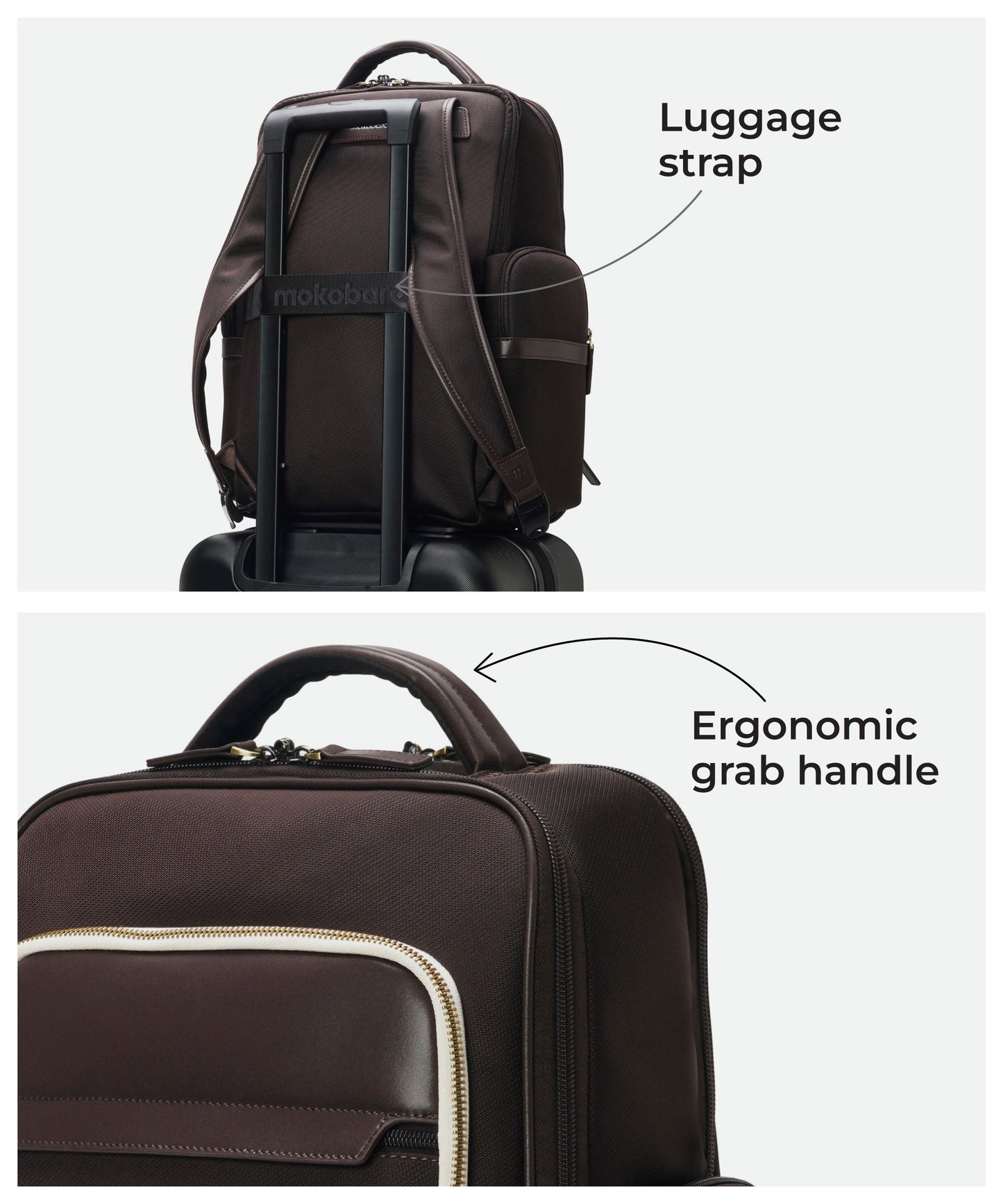 Color_Homebrew Sunray | The Bass Backpack