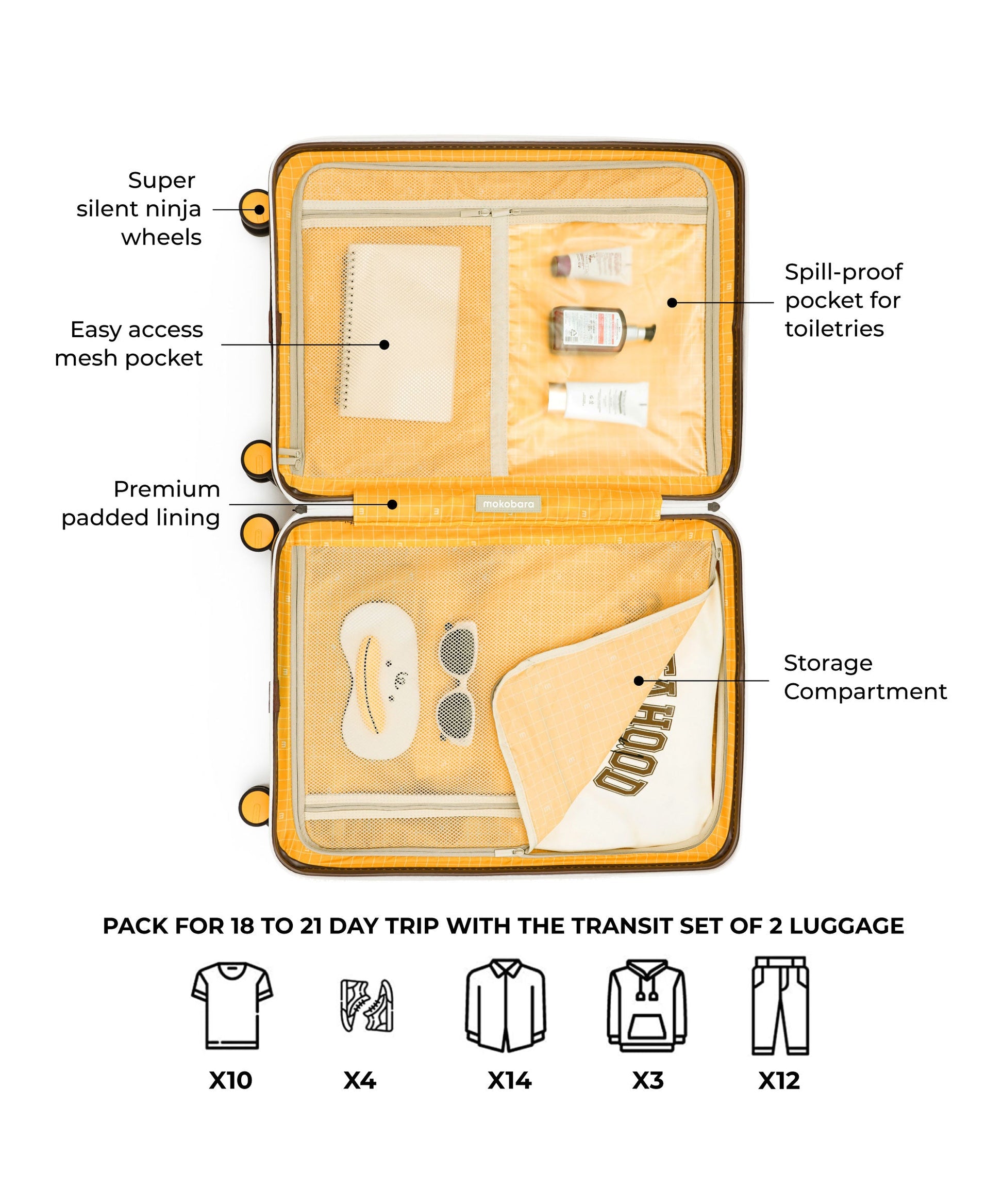 Color_ Still Loading Brownray 2.0 (Limited Edition) | The Transit Luggage - Set of 2