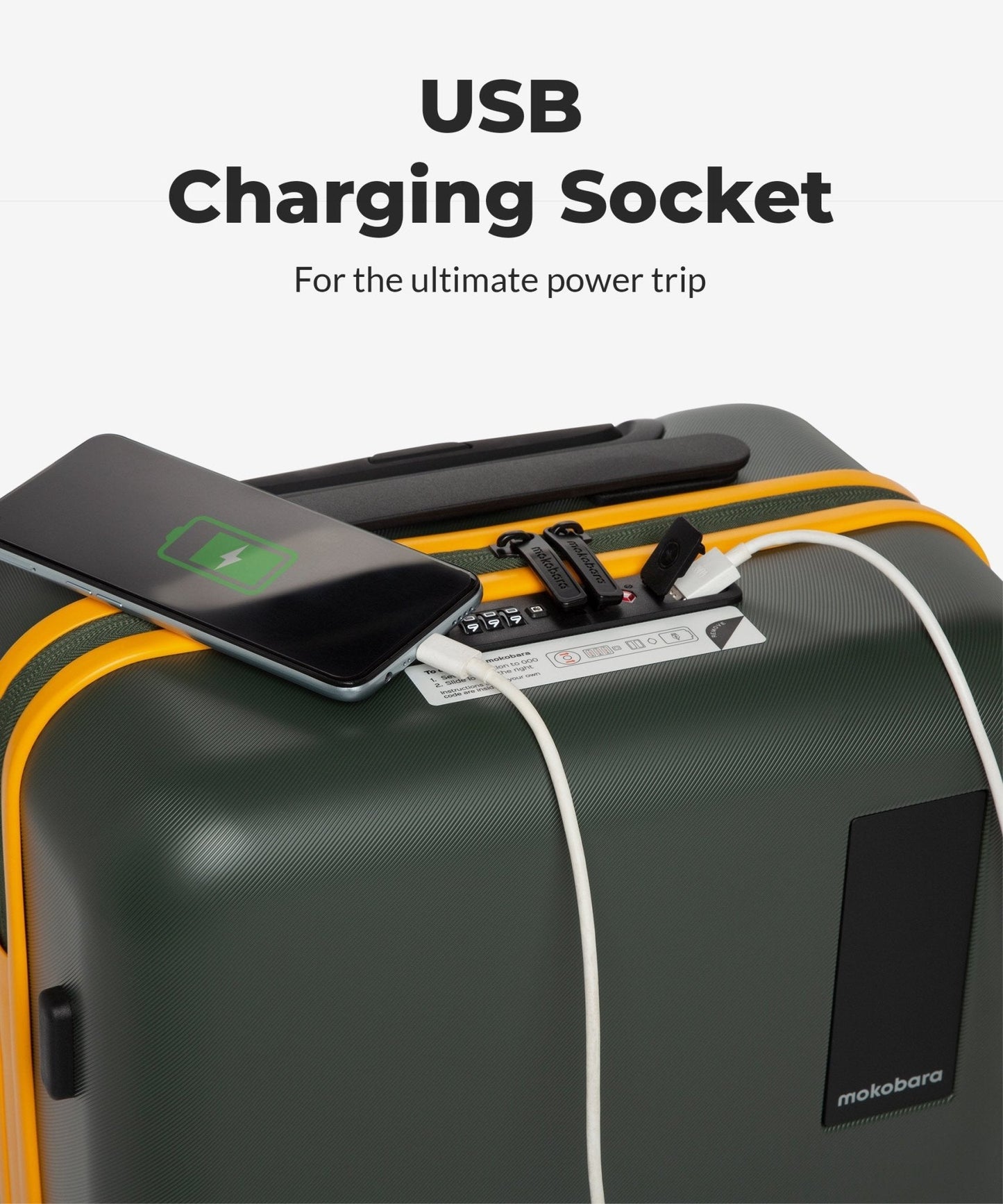 Color_Forest Sunray (Limited Edition) | The Cabin Luggage