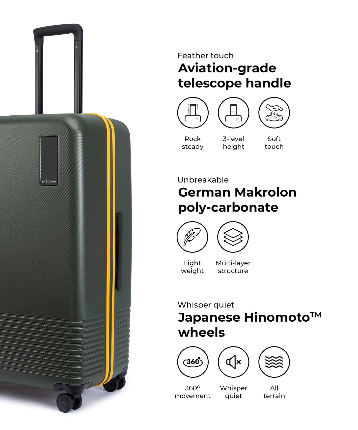 Color_Forest Sunray (Limited Edition) | Set of 3 Luggage