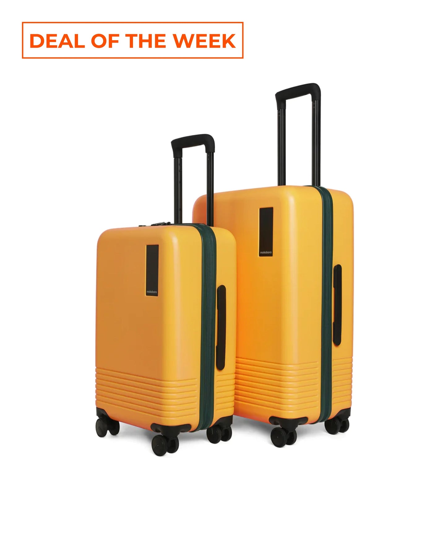Set of 2 Luggage