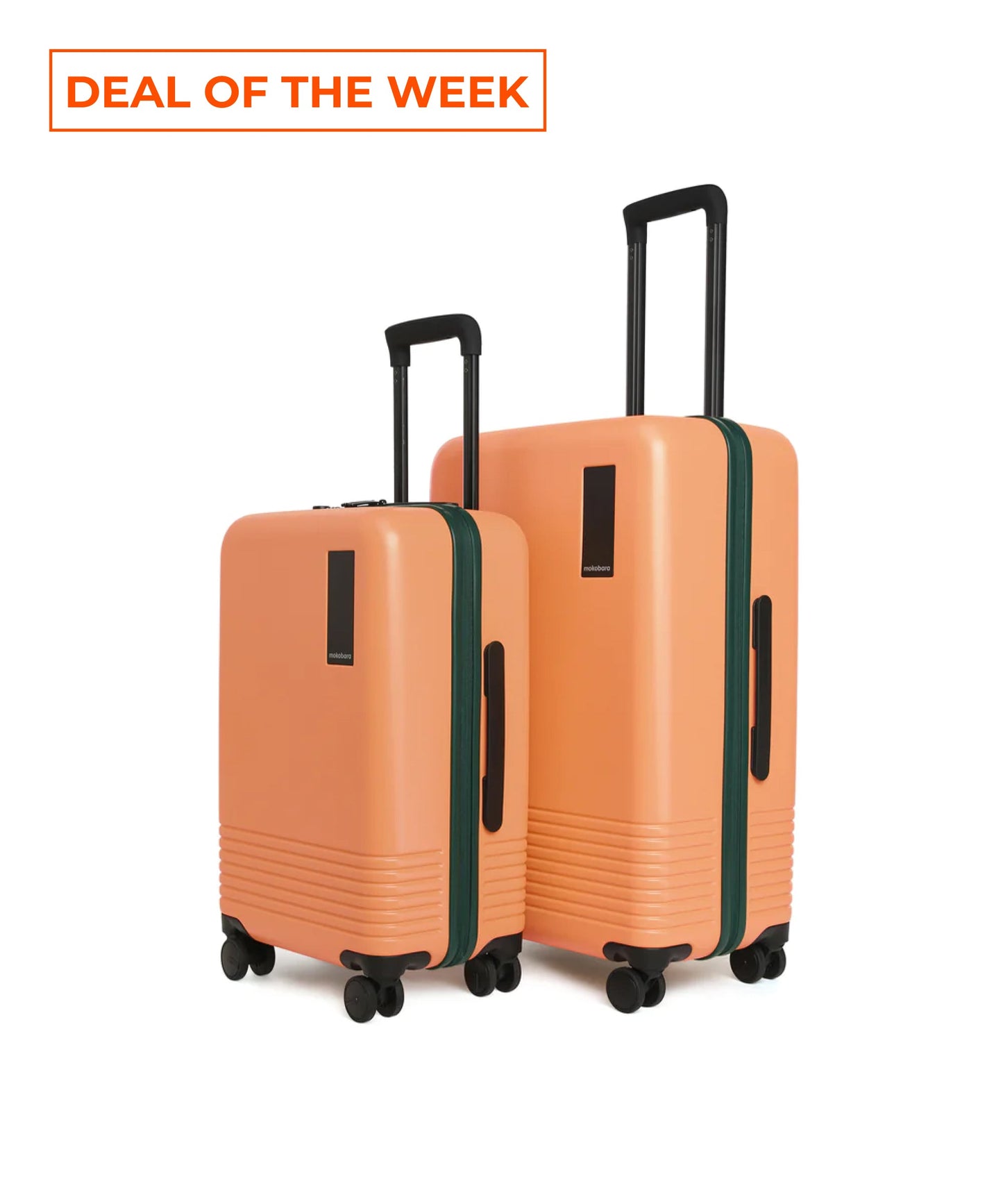 Set of 2 Luggage
