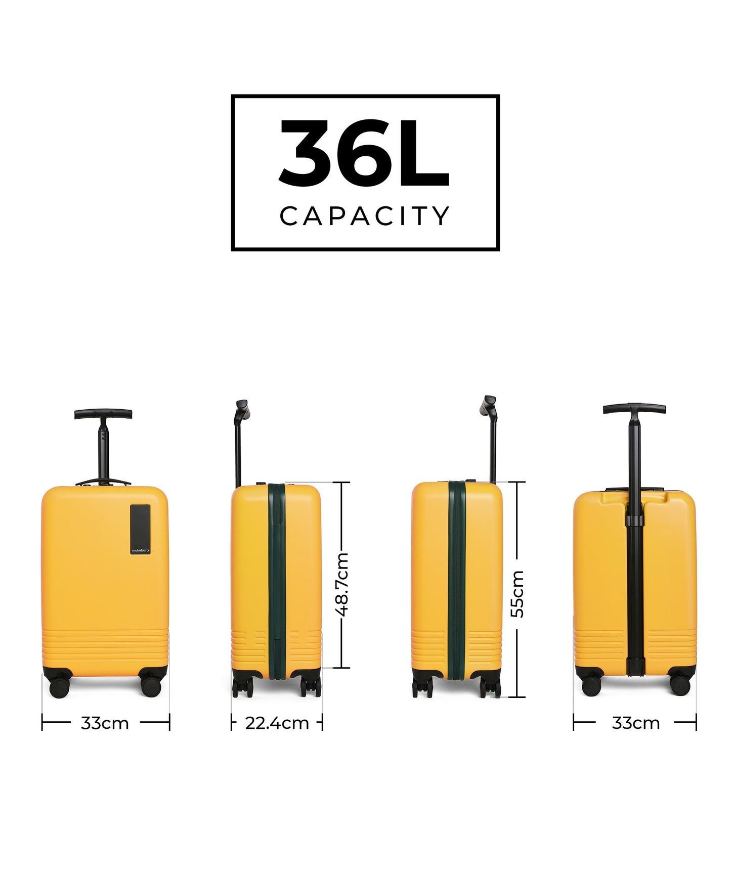 Color_Summer Greenray (Limited Edition) | The Float - Cabin Luggage
