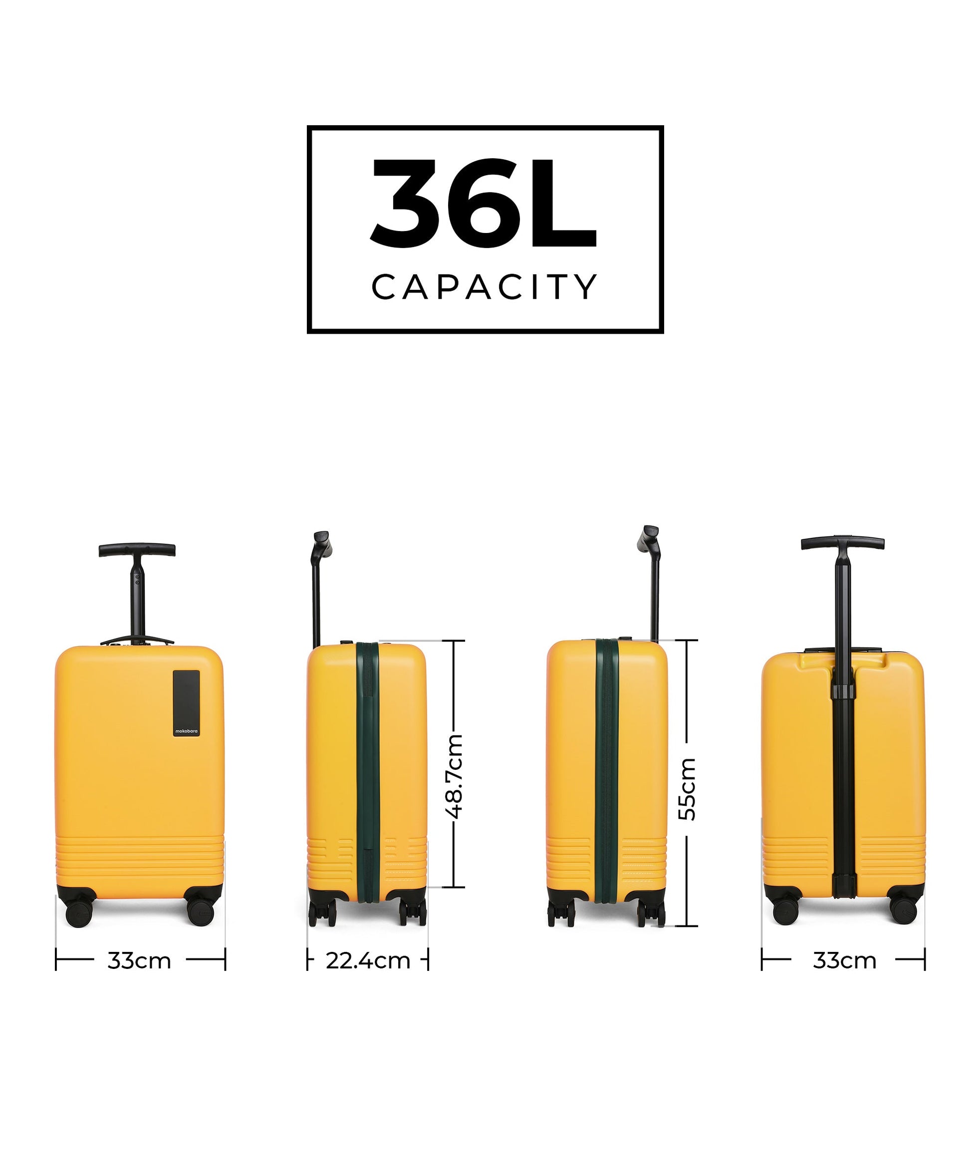 Color_Summer Greenray (Limited Edition) | The Float - Cabin Luggage