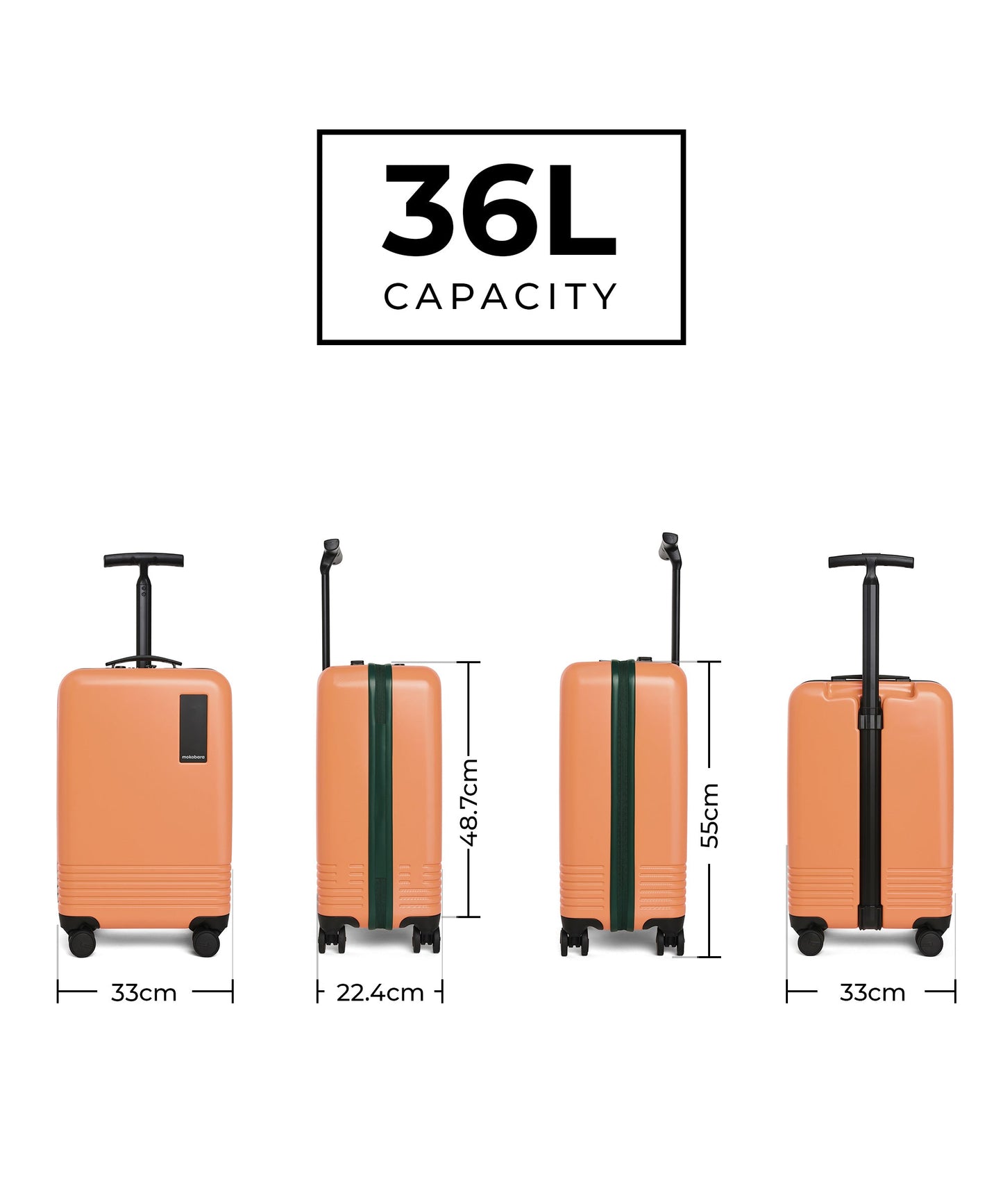 Color_Wild Flower Greenray (Limited Edition) | The Float - Cabin Luggage