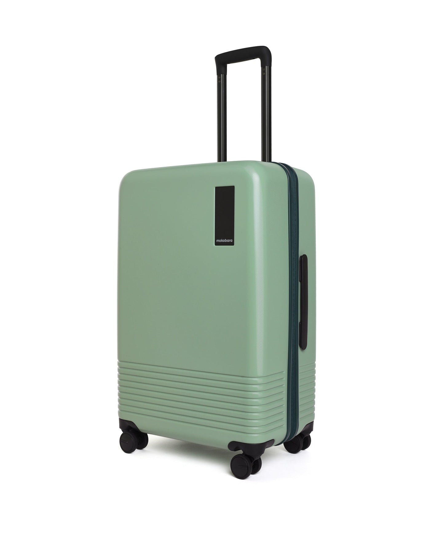 Color_Timeless Greenray (Limited Edition) | The Check-in Luggage