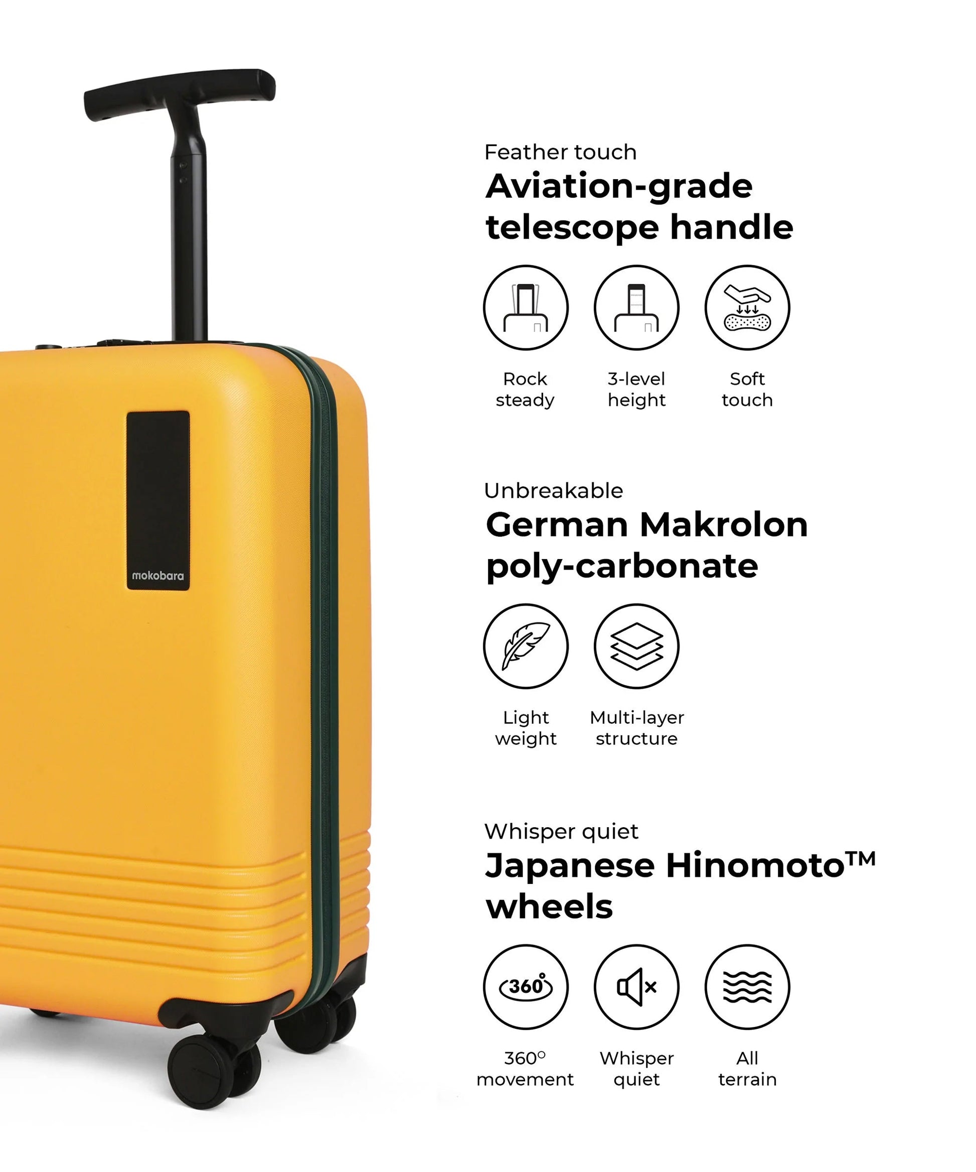 Color_Summer Greenray (Limited Edition) | The Float - Cabin Luggage