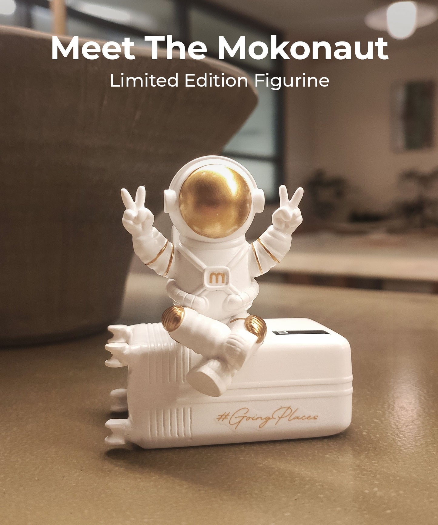 The Mokonaut