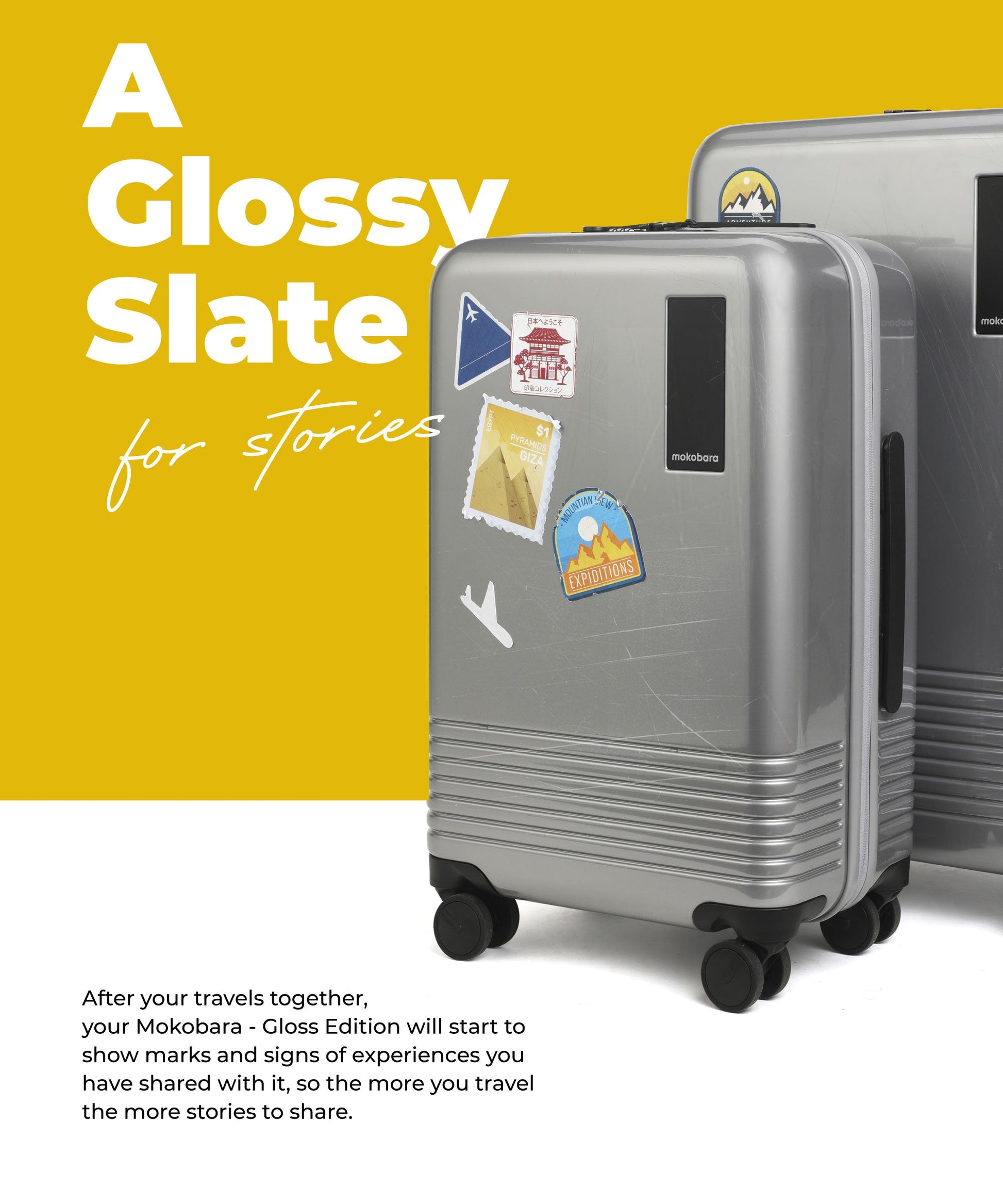Color_Reflection Eve (Gloss Edition) | The Cabin Luggage