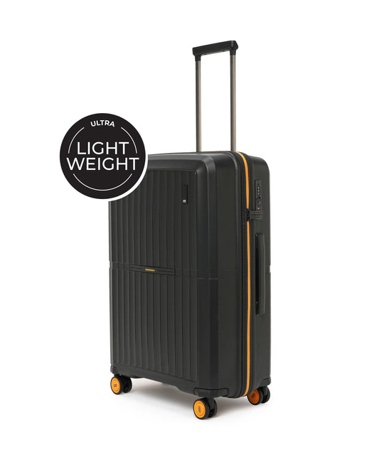 Color_Crypto | The Aviator Check-In Luggage