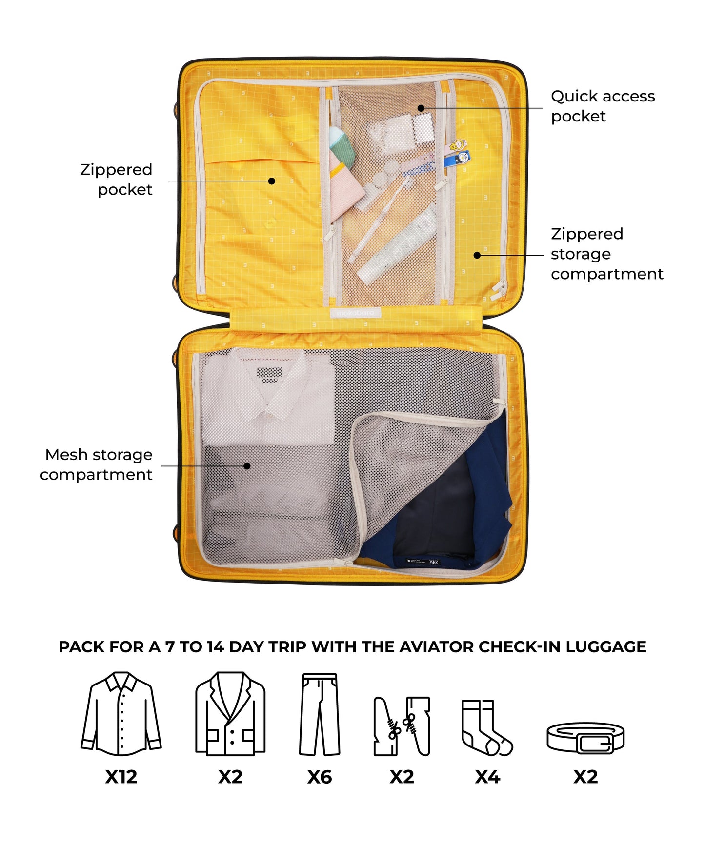 Color_Dark Matter | The Aviator Check-In Luggage