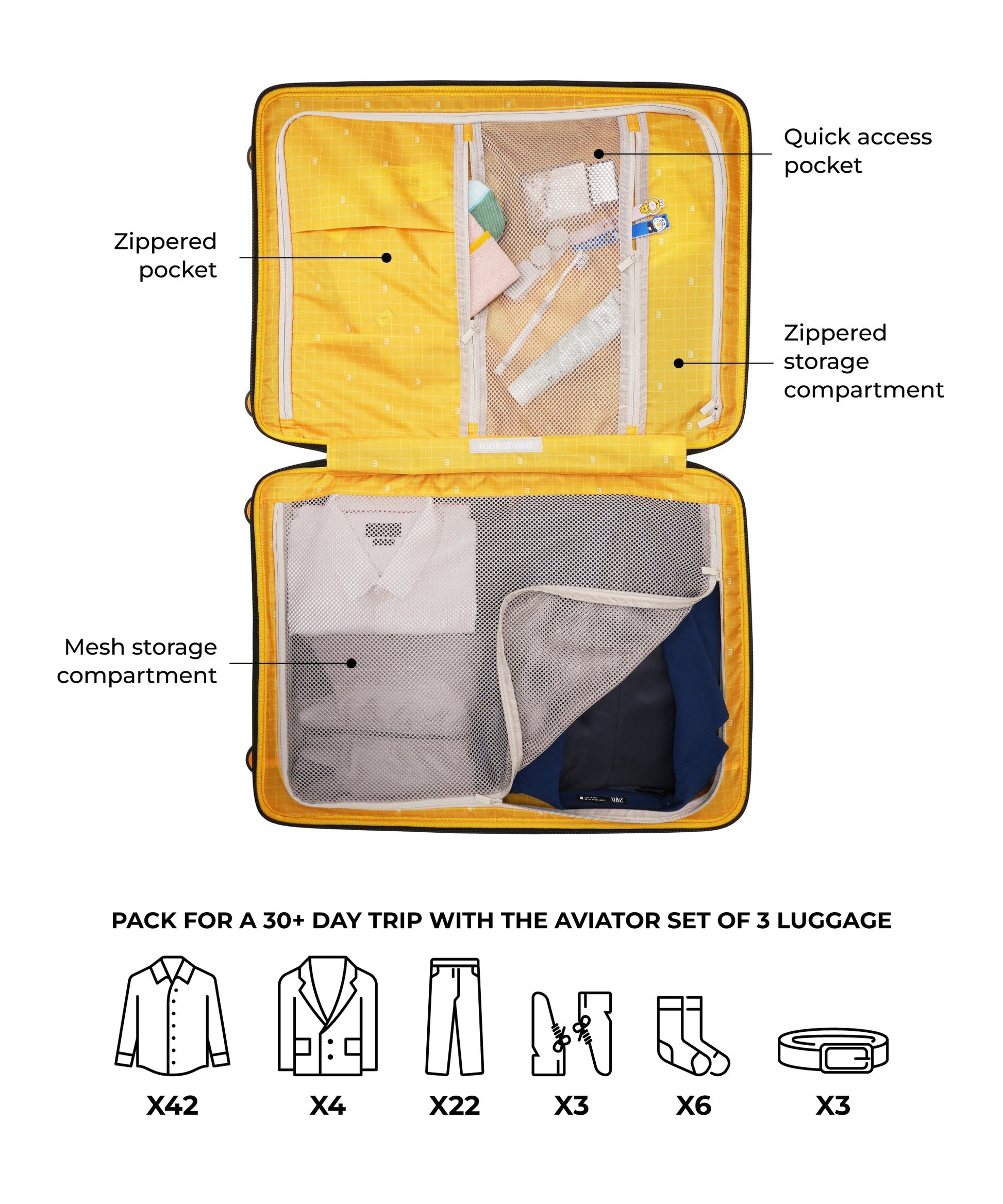 Color_Crypto | The Aviator Set of 3 Luggage