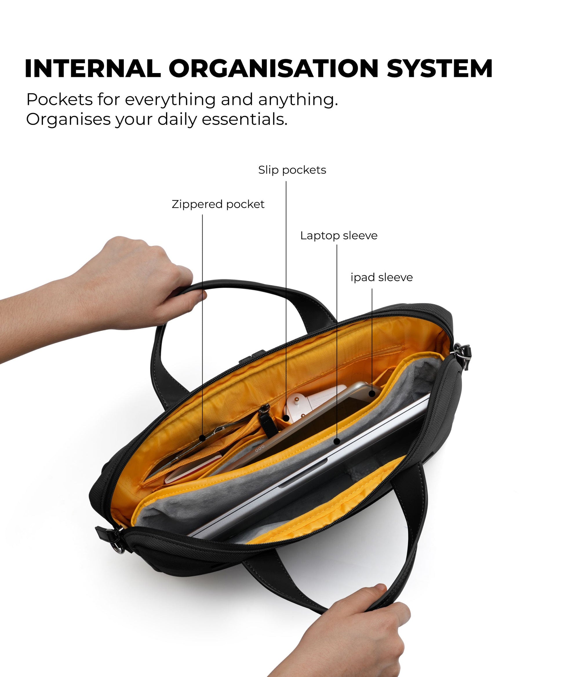 Color_Crypto | The Briefcase - Ⅱ