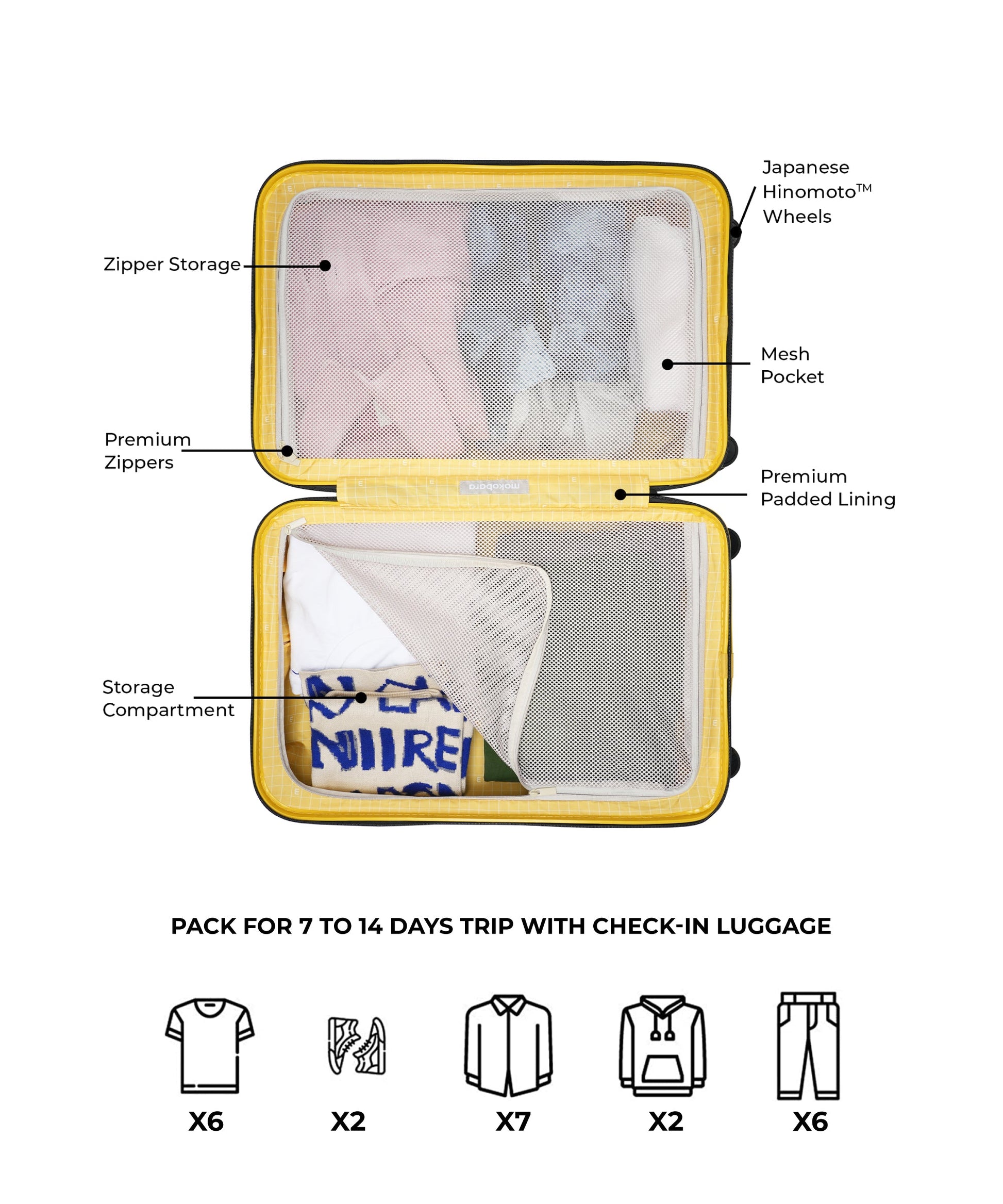 Color_4AM Forest Sunray (Limited Edition) | The Em Check-In Luggage