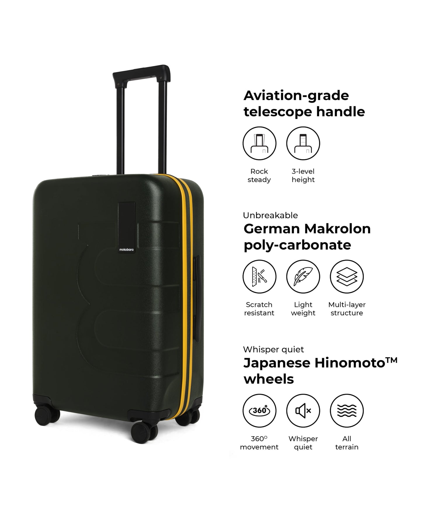 Color_4AM Forest Sunray (Limited Edition) | The Em Set of 2 Luggage