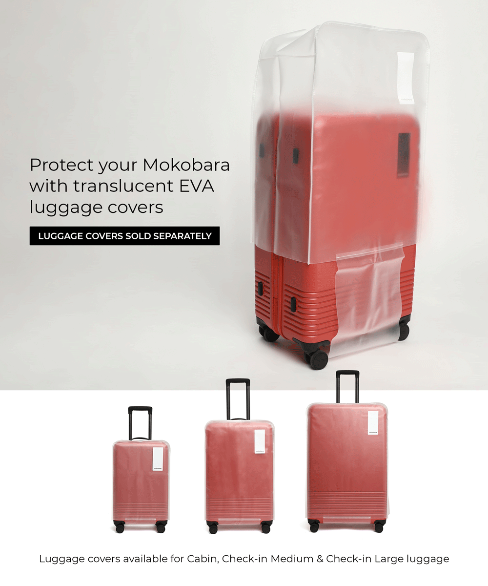 Set of 2 Luggage