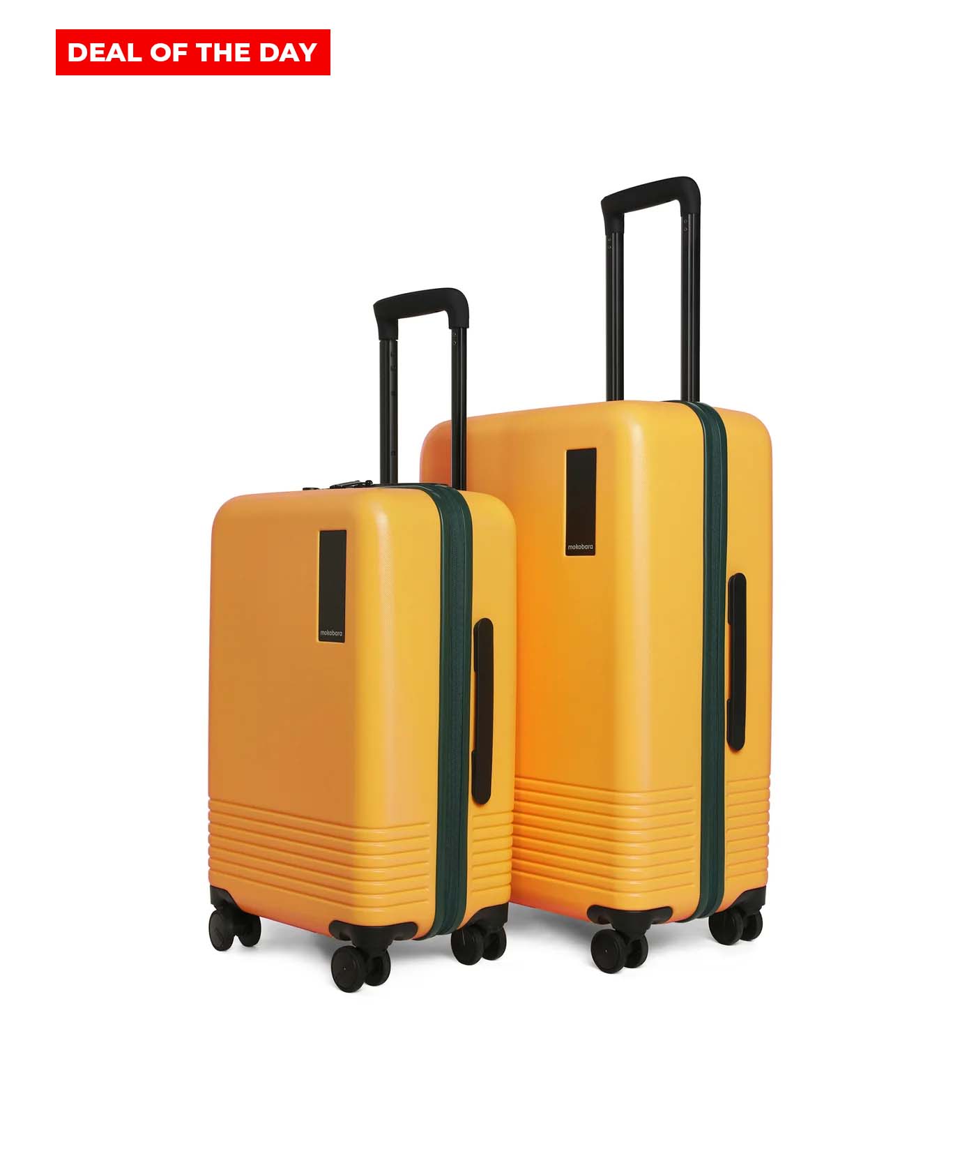 Set of 2 Luggage